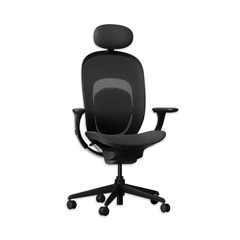 Офисное кресло Xiaomi Yuemi YMI Ergonomic Chair Black (RTGXY01YM) (Черный)